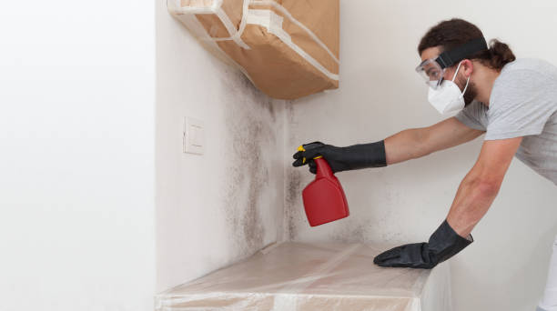 Professional Mold Removal technician working in Rixeyville, VA
