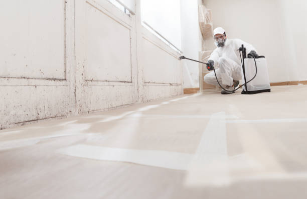 24/7 Emergency Mold Removal experts in Rixeyville, VA